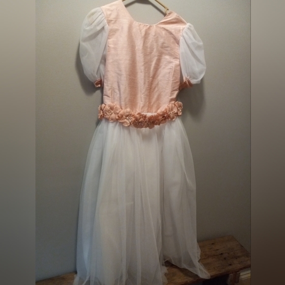 Posies Other - Posies Of Maine "Tinker Bell"Girls  Dress Pink White Size 16.  NWT